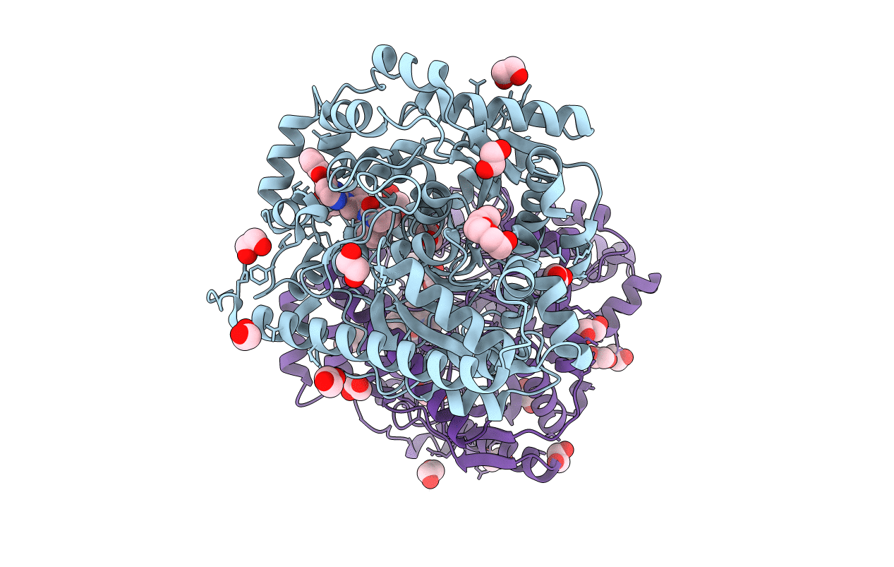 3QJ9 image
