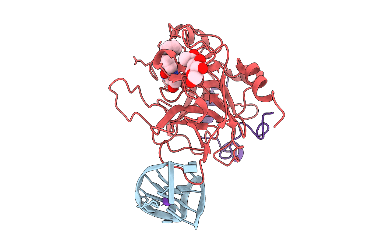 3QLP image