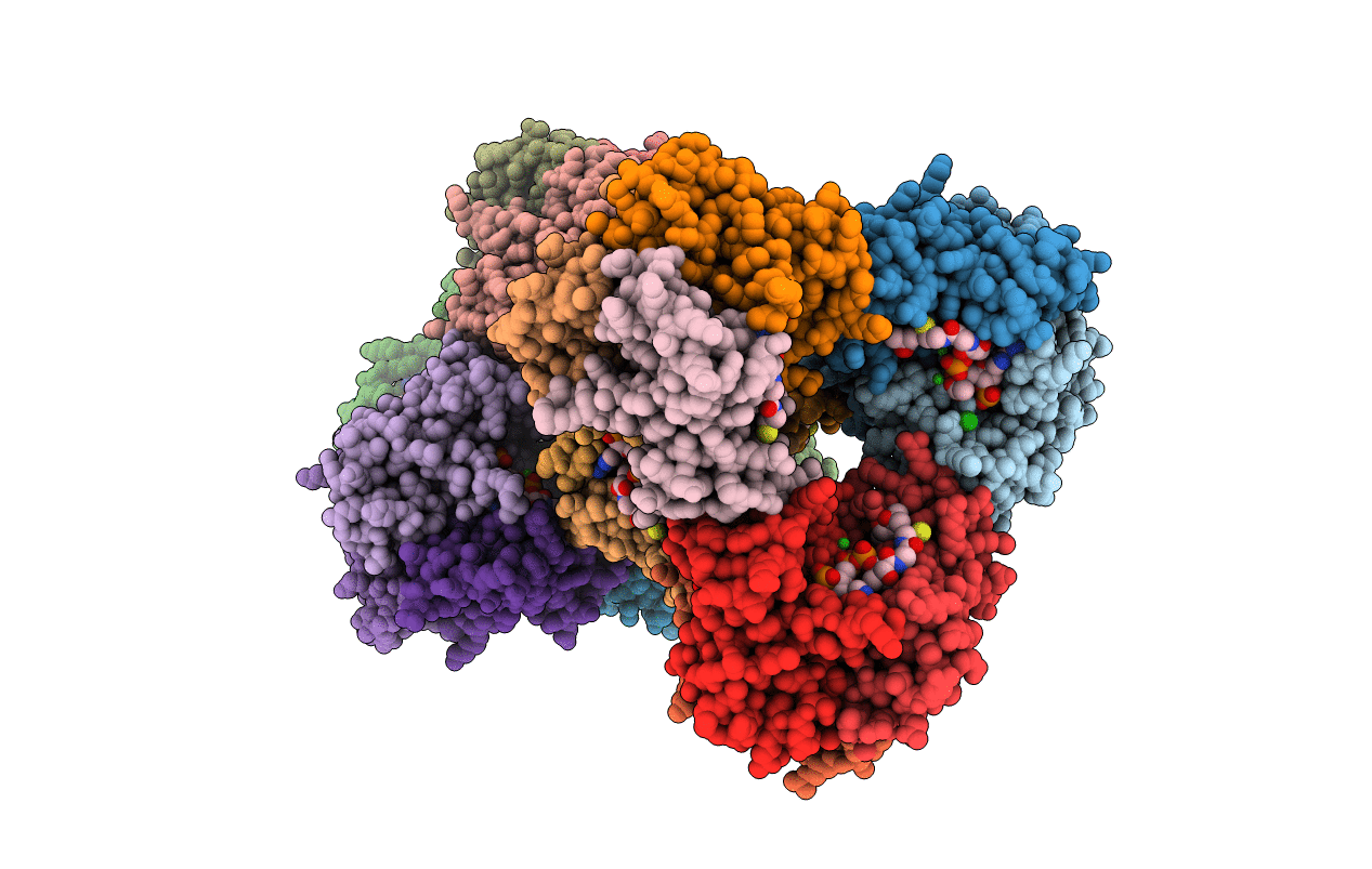 3QMN image