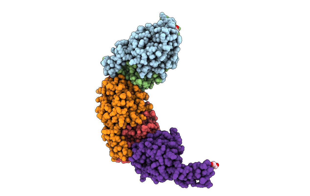 3QPM image