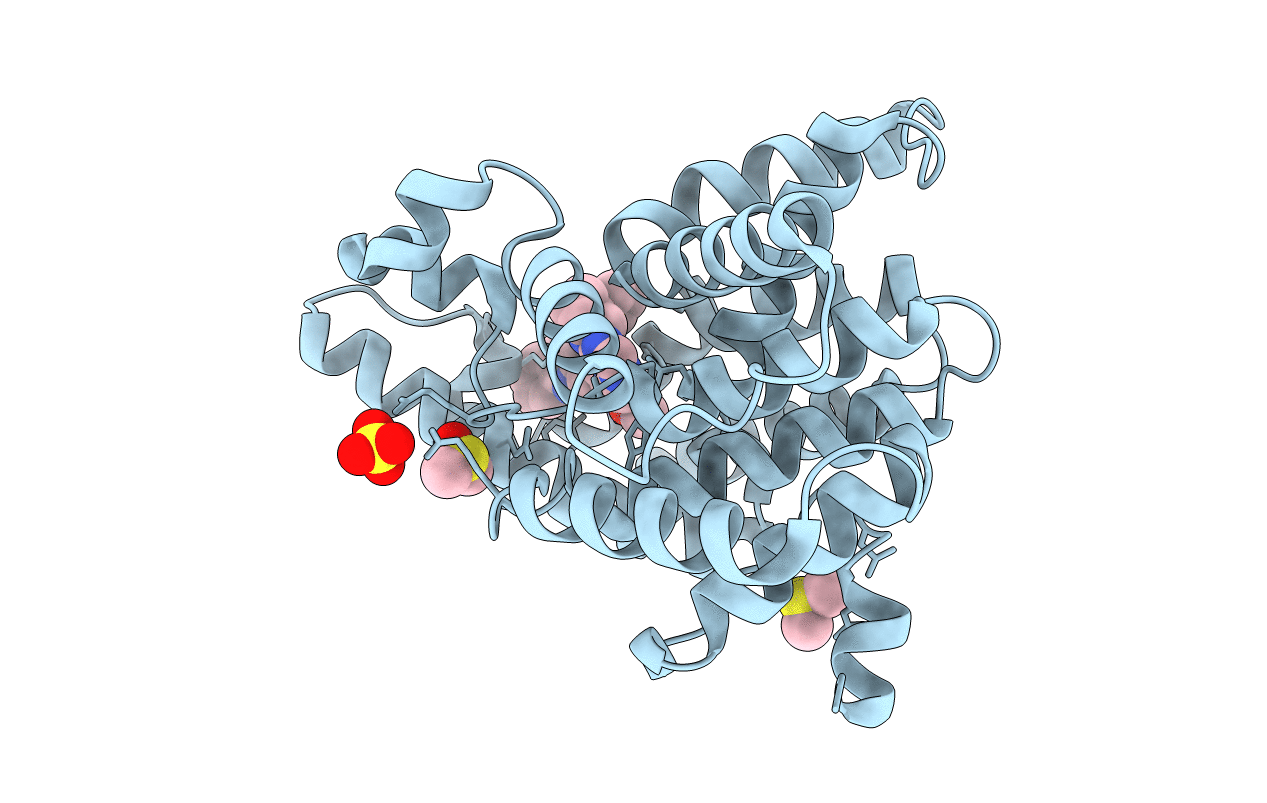 3QPP image