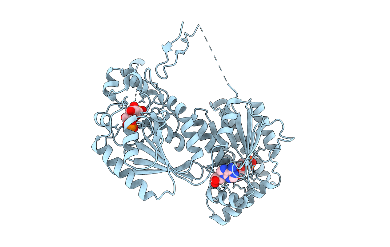 3QPV image