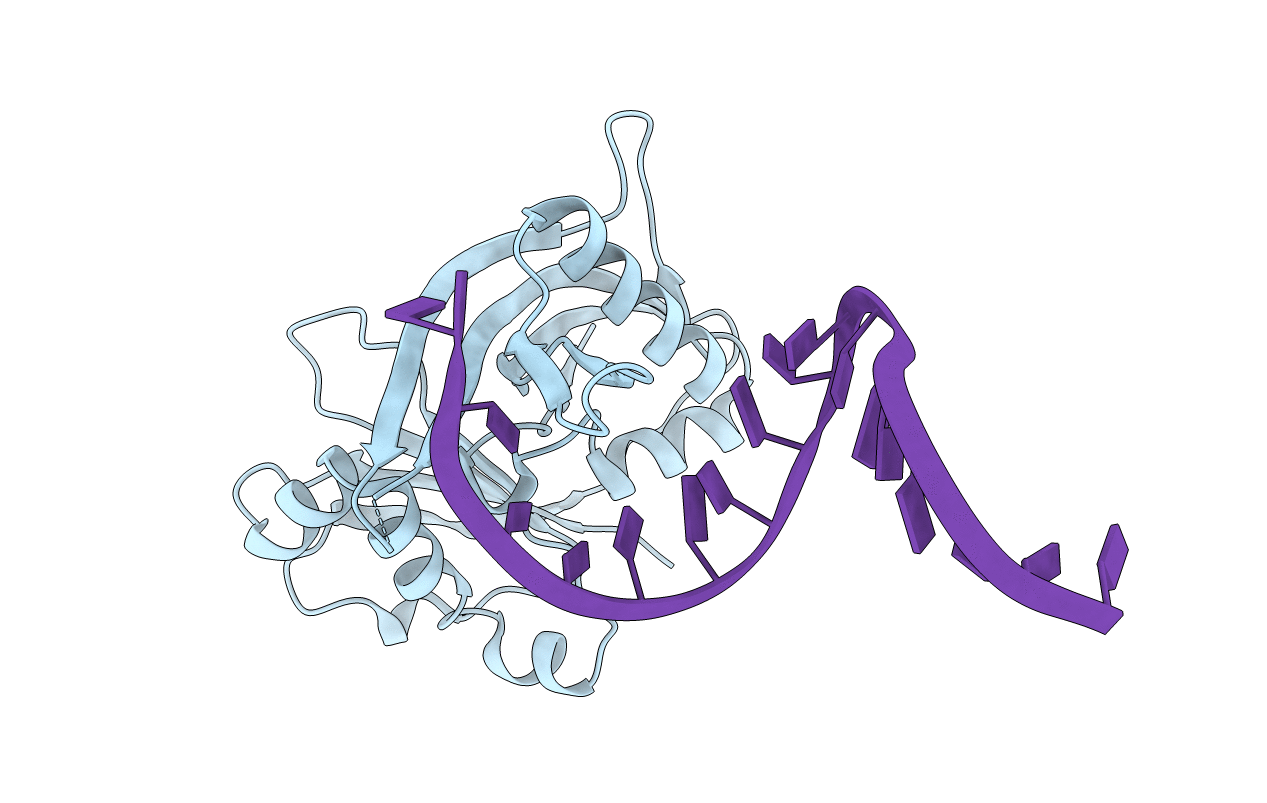 3QRR image