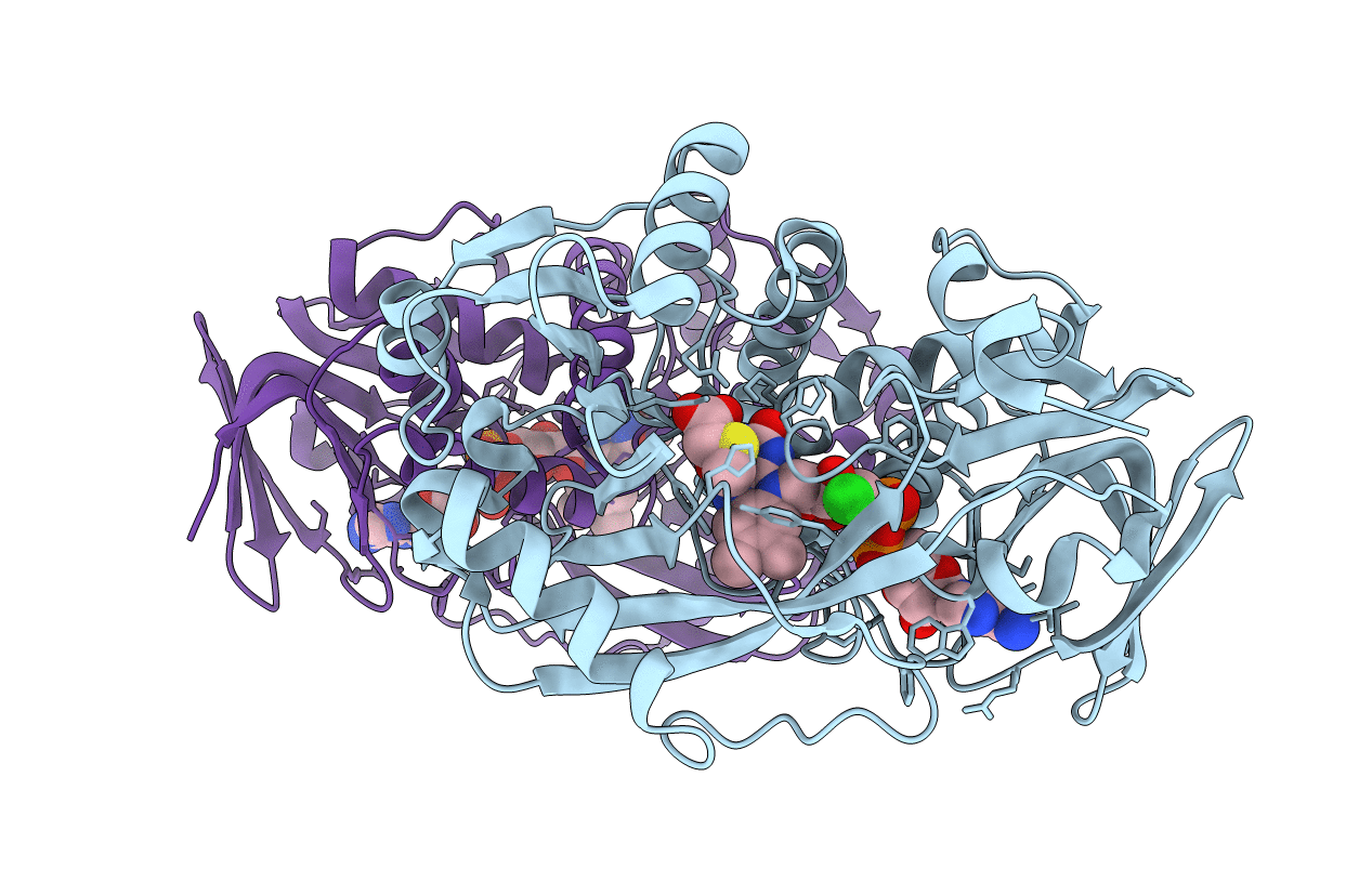 3QSS image