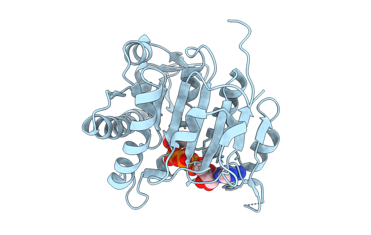 3QUN image