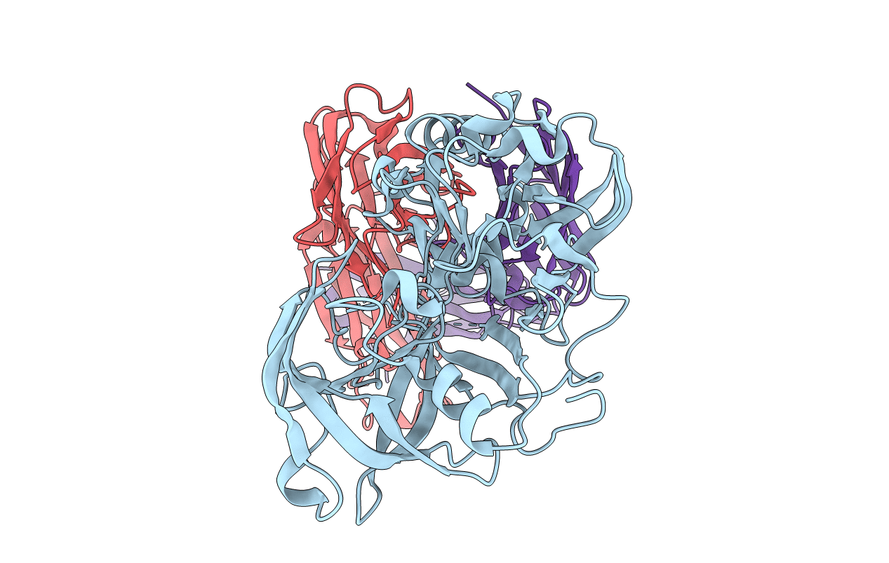 3R1G image