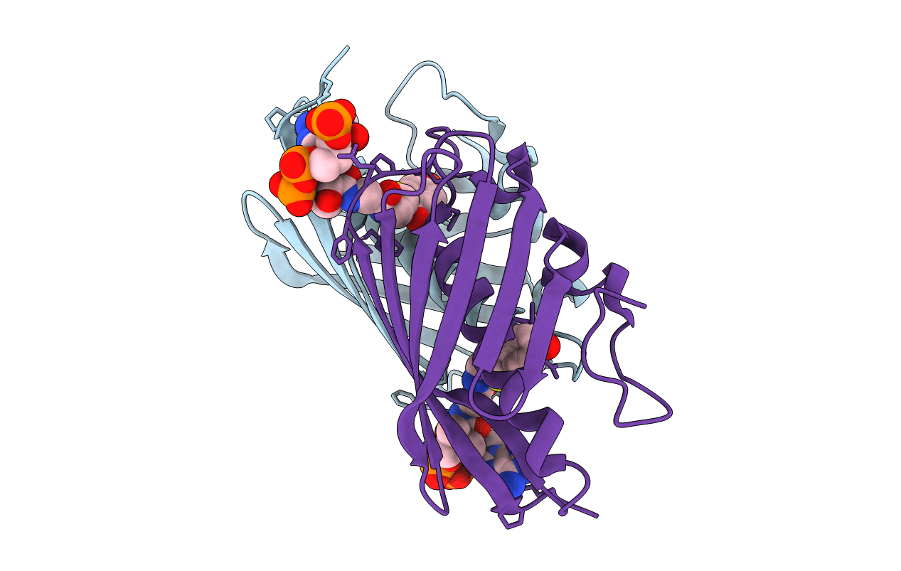 3R32 image