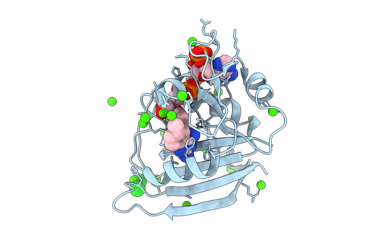 3R33 image