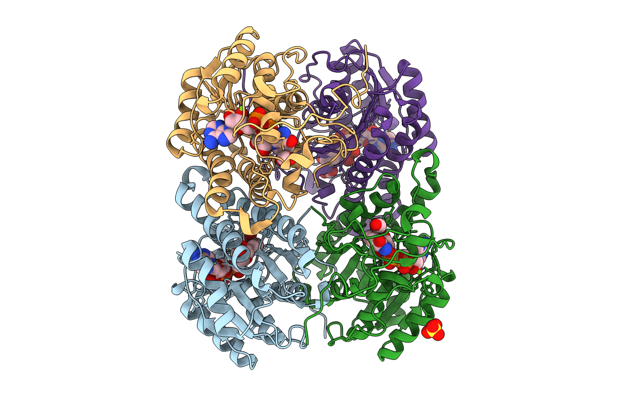 3R3S image