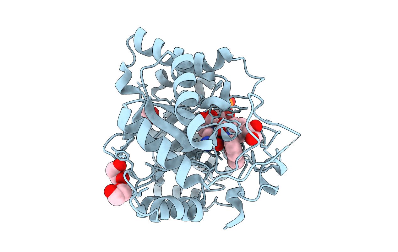 3R43 image