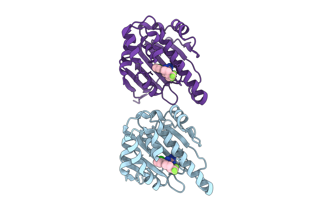 3R4N image