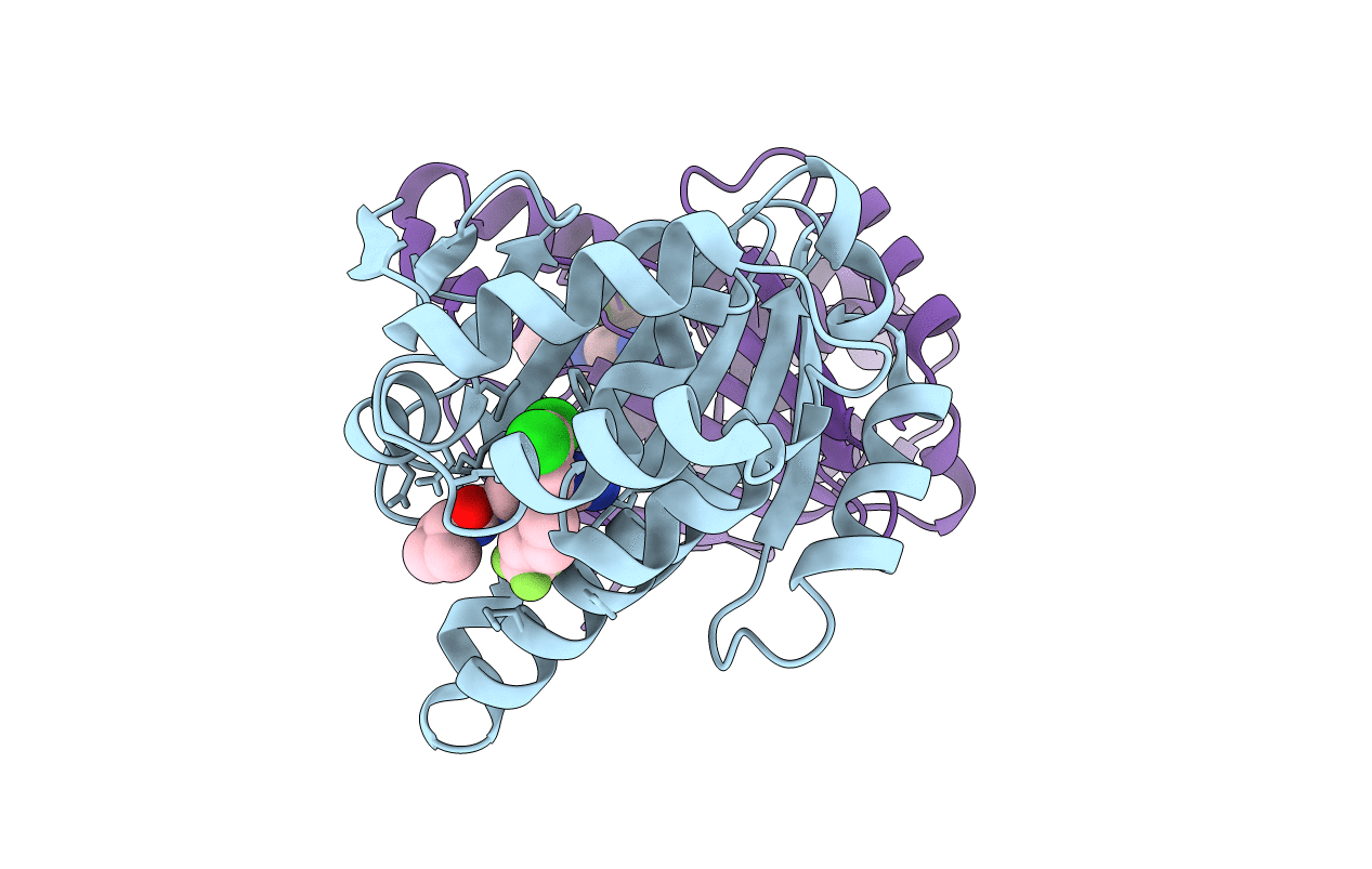 3R4O image