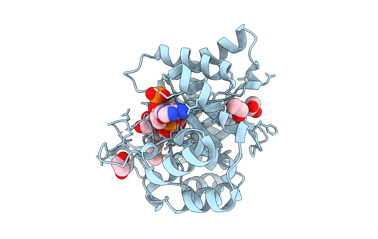 3R58 image