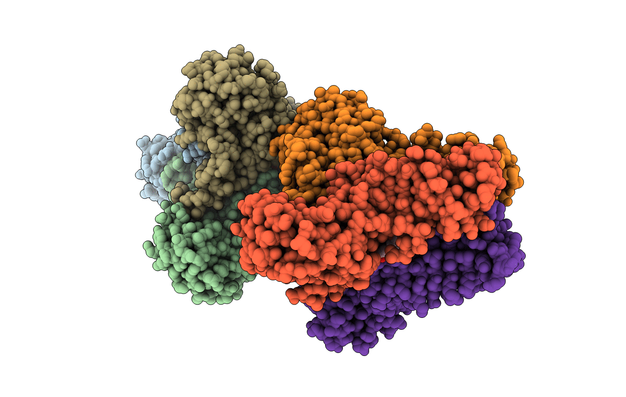 3R5B image