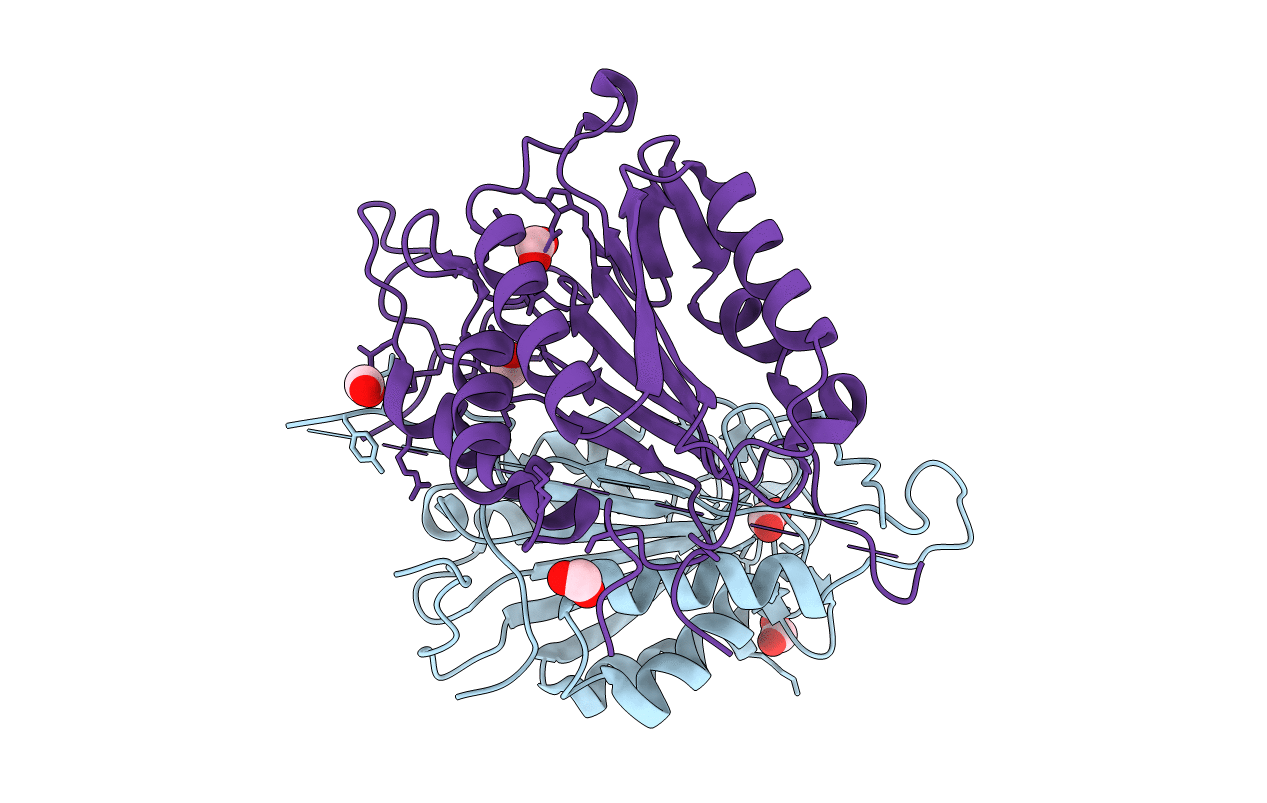 3R5K image
