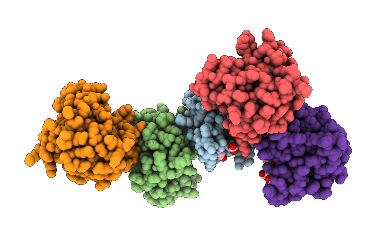 3R5R image