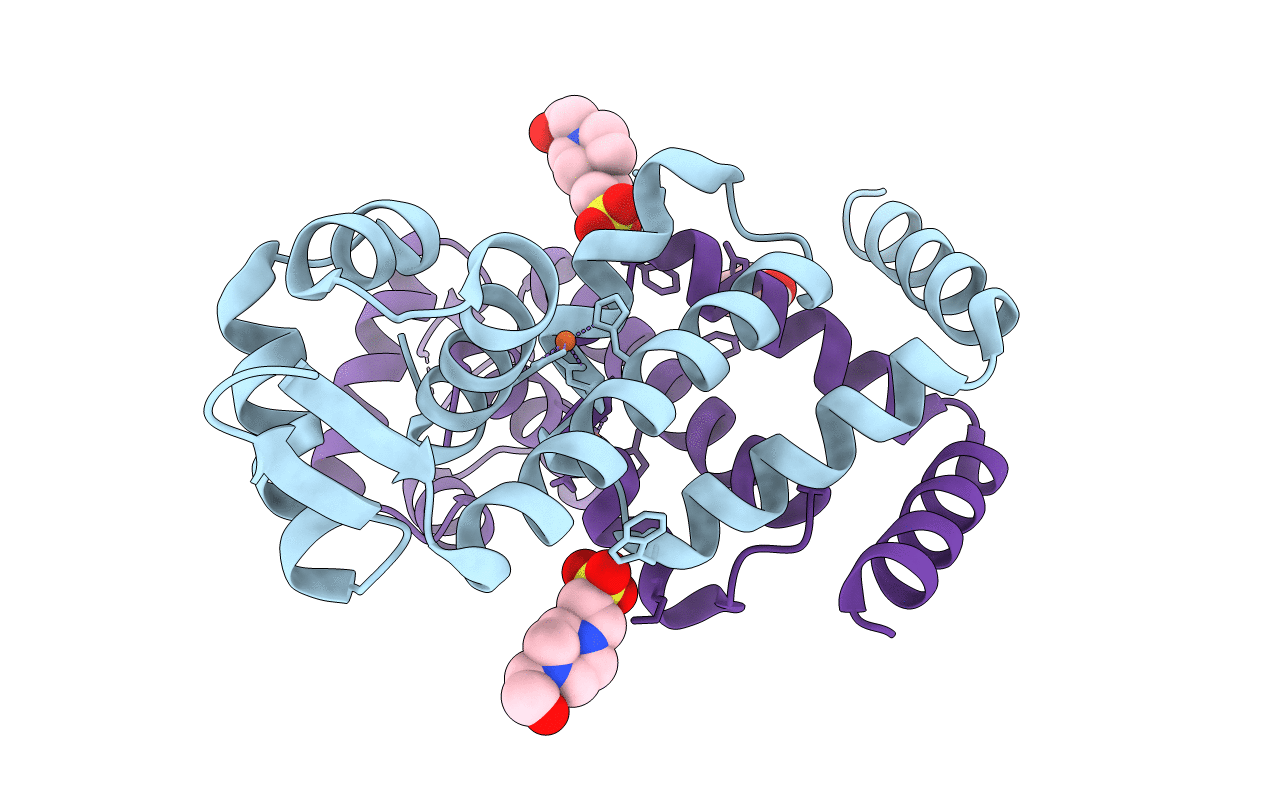 3R60 image