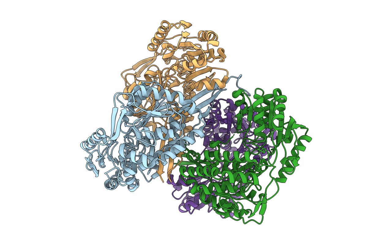 3R64 image