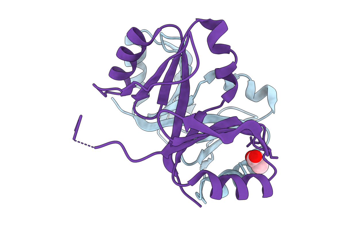 3R6A image