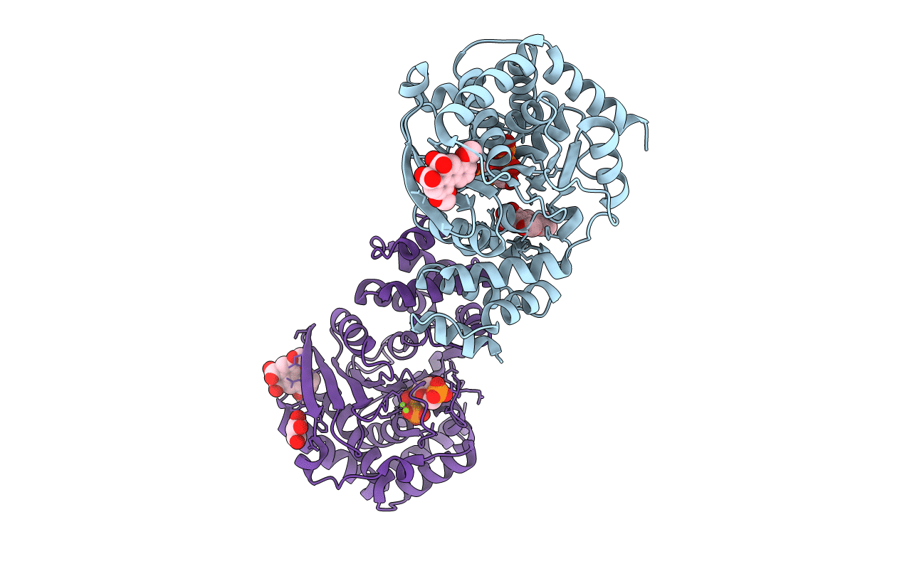3R6C image