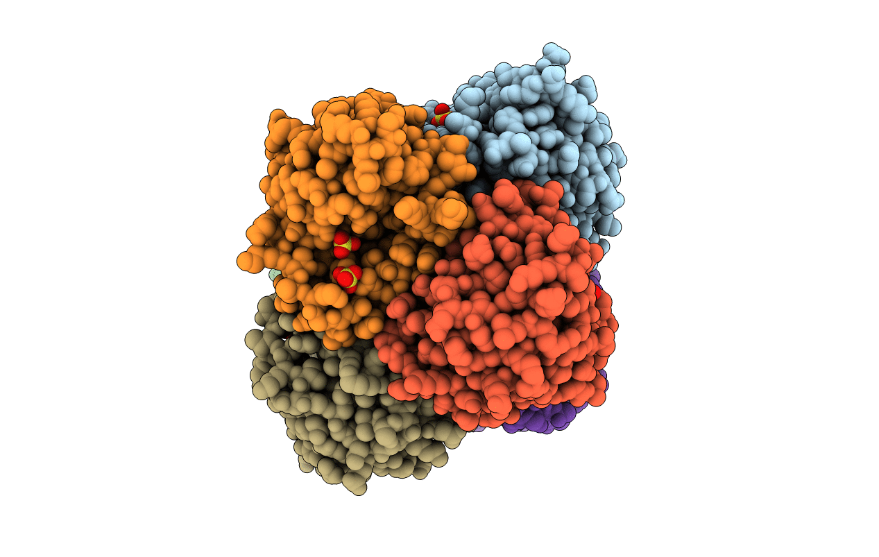 3R6E image