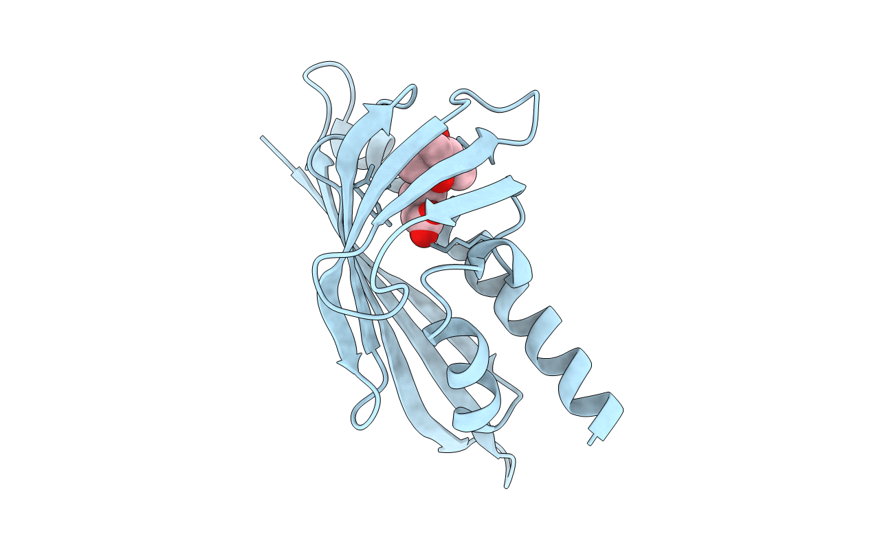 3R6P image