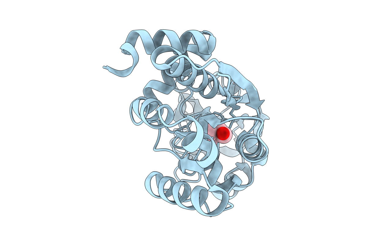 3R6U image