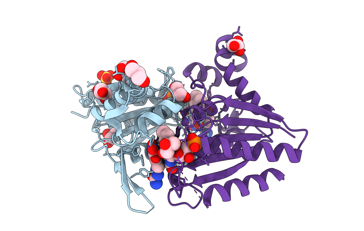 3R6W image