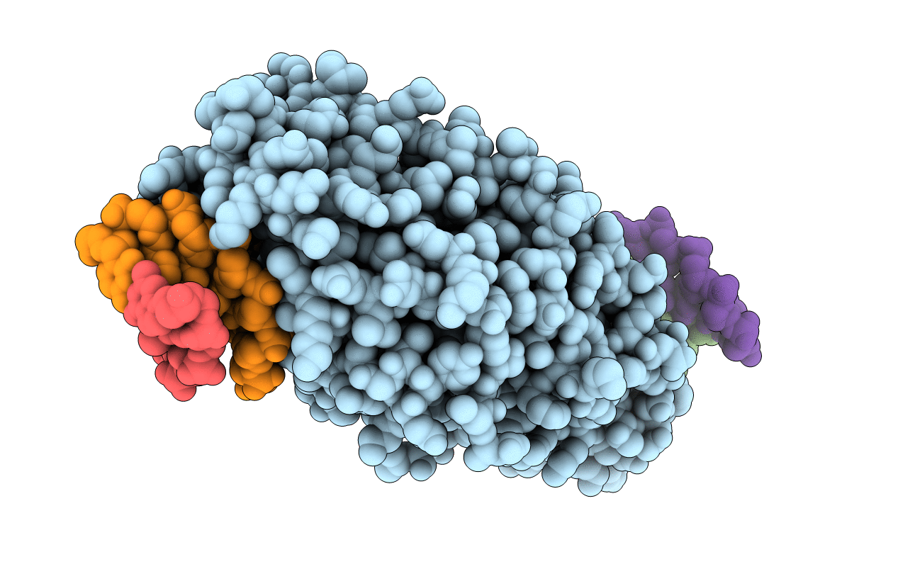 3R7P image