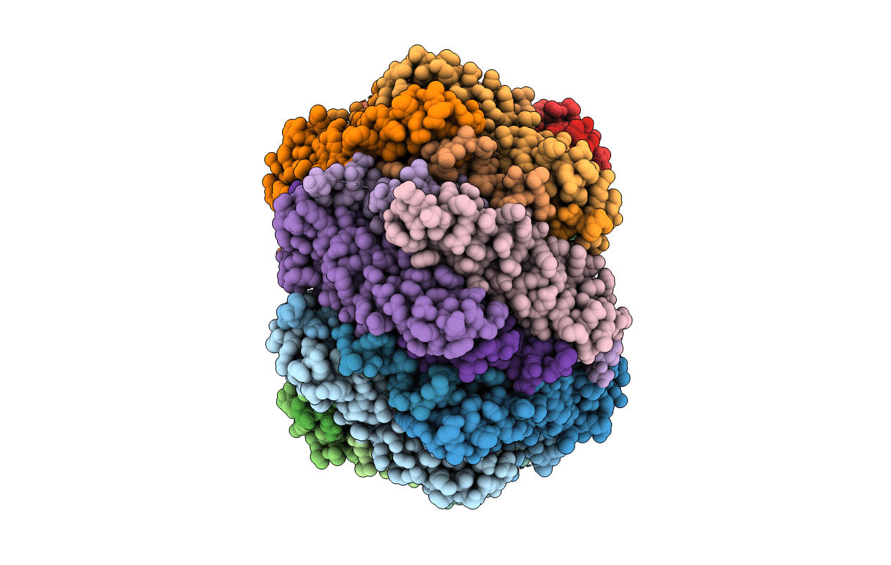 3R84 image