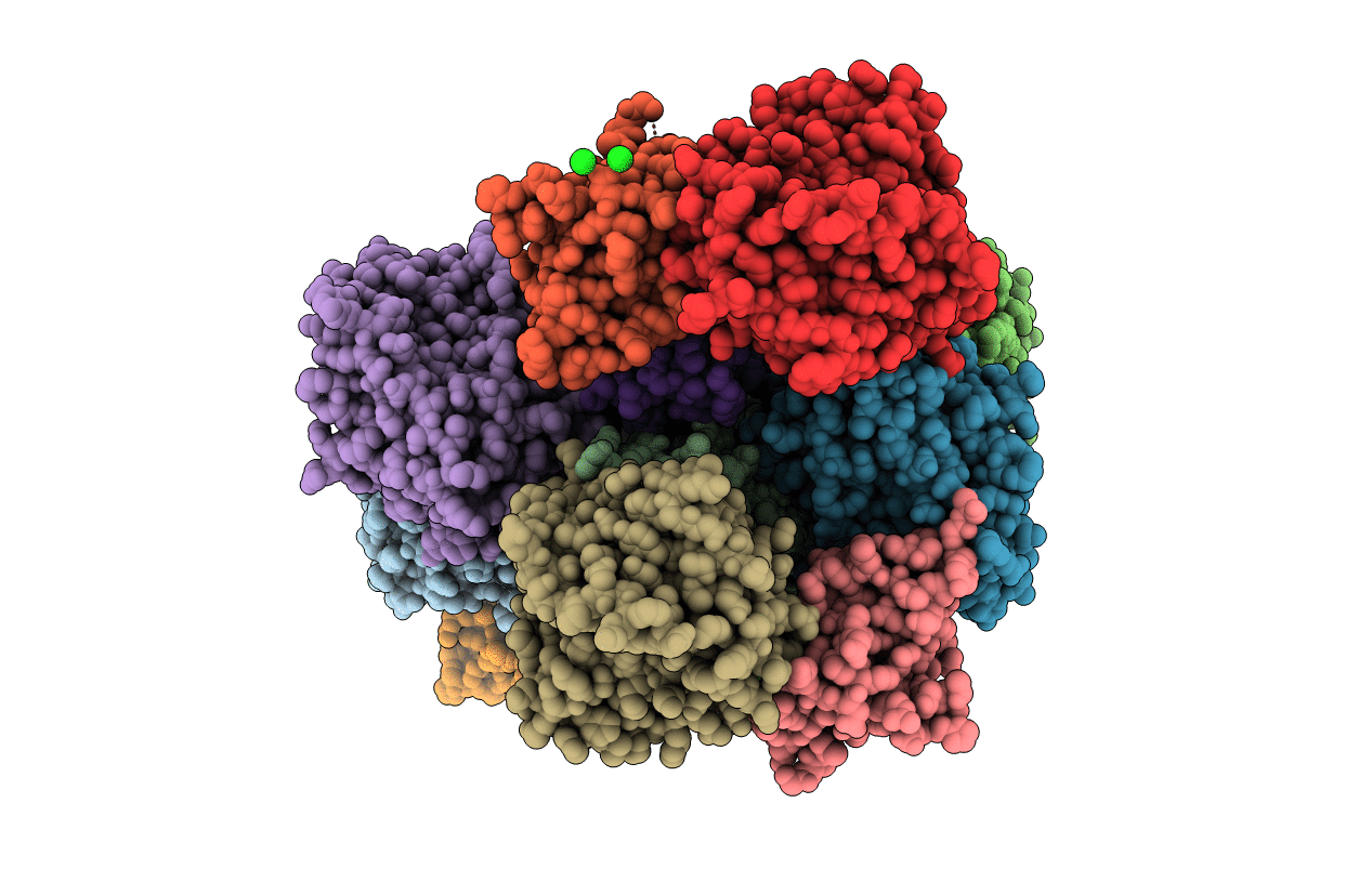 3R8B image