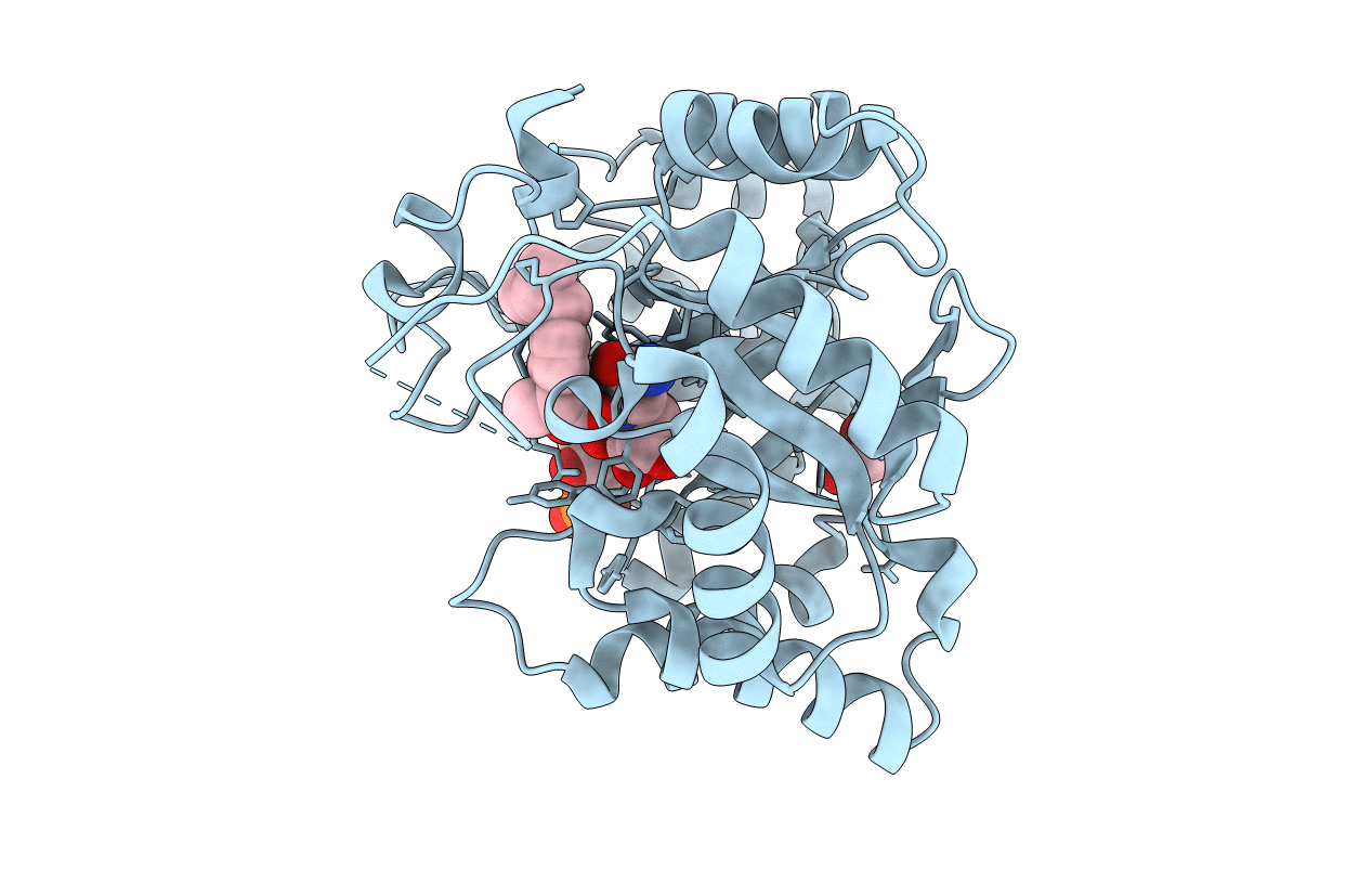 3R8G image