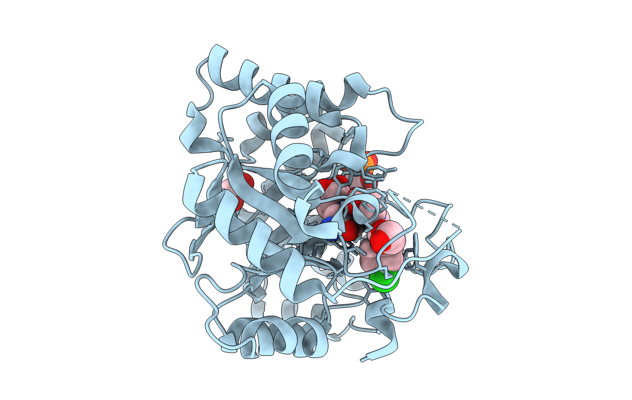 3R8H image