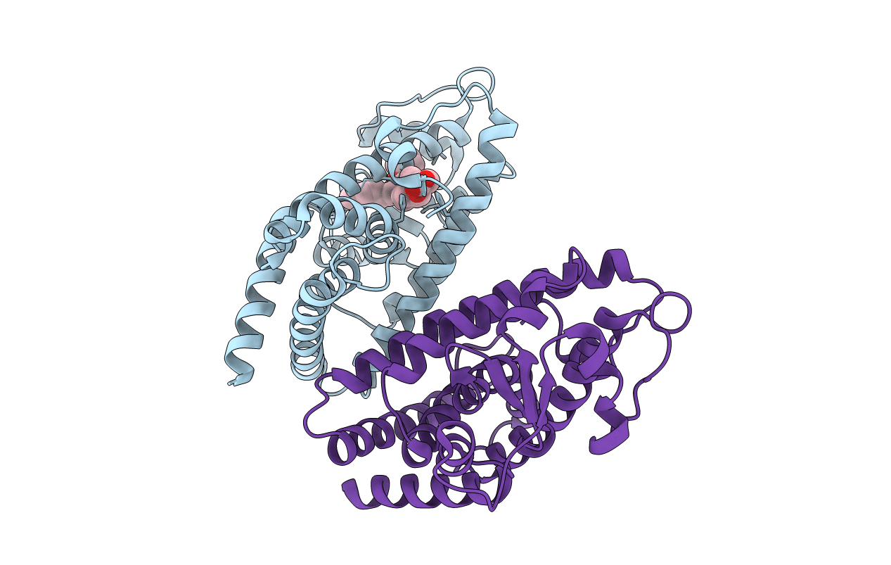 3R8I image