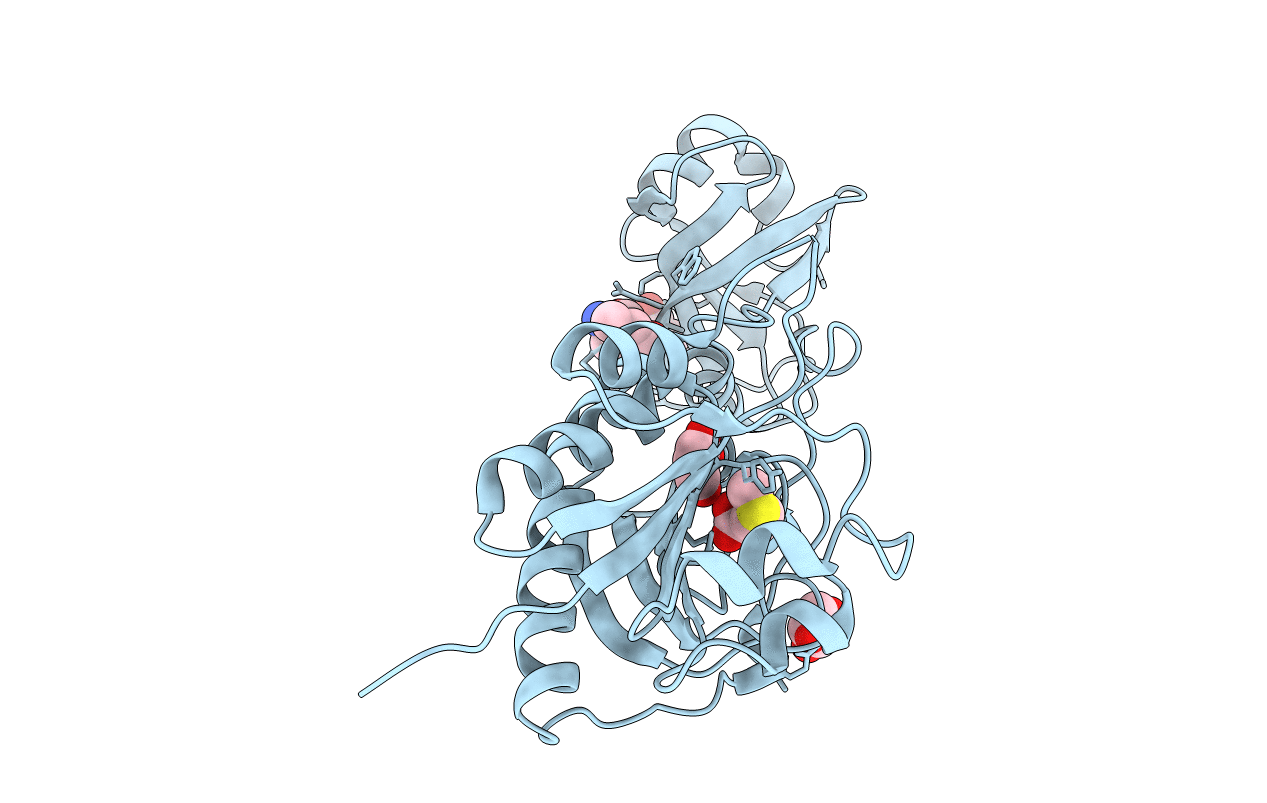3R8X image