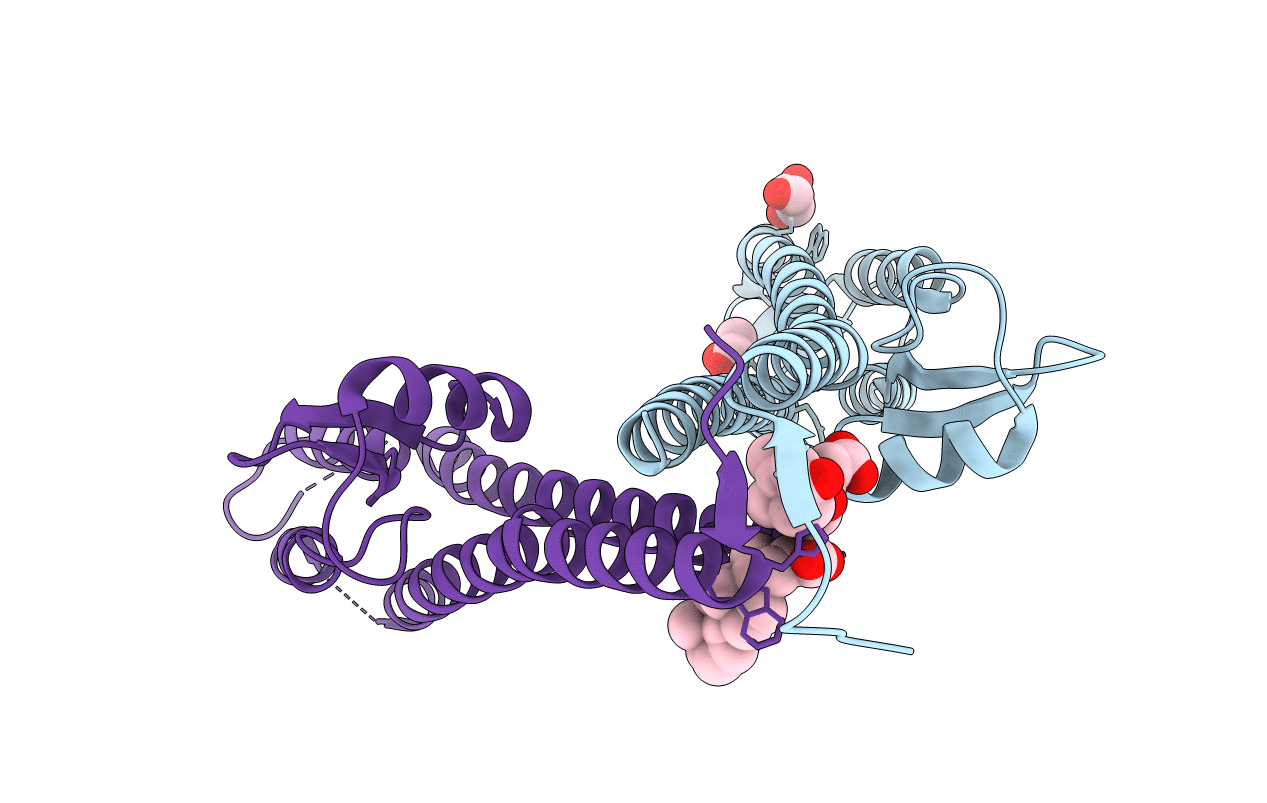 3R9V image