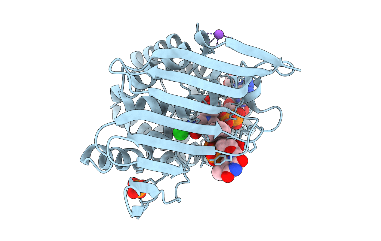 3RC1 image