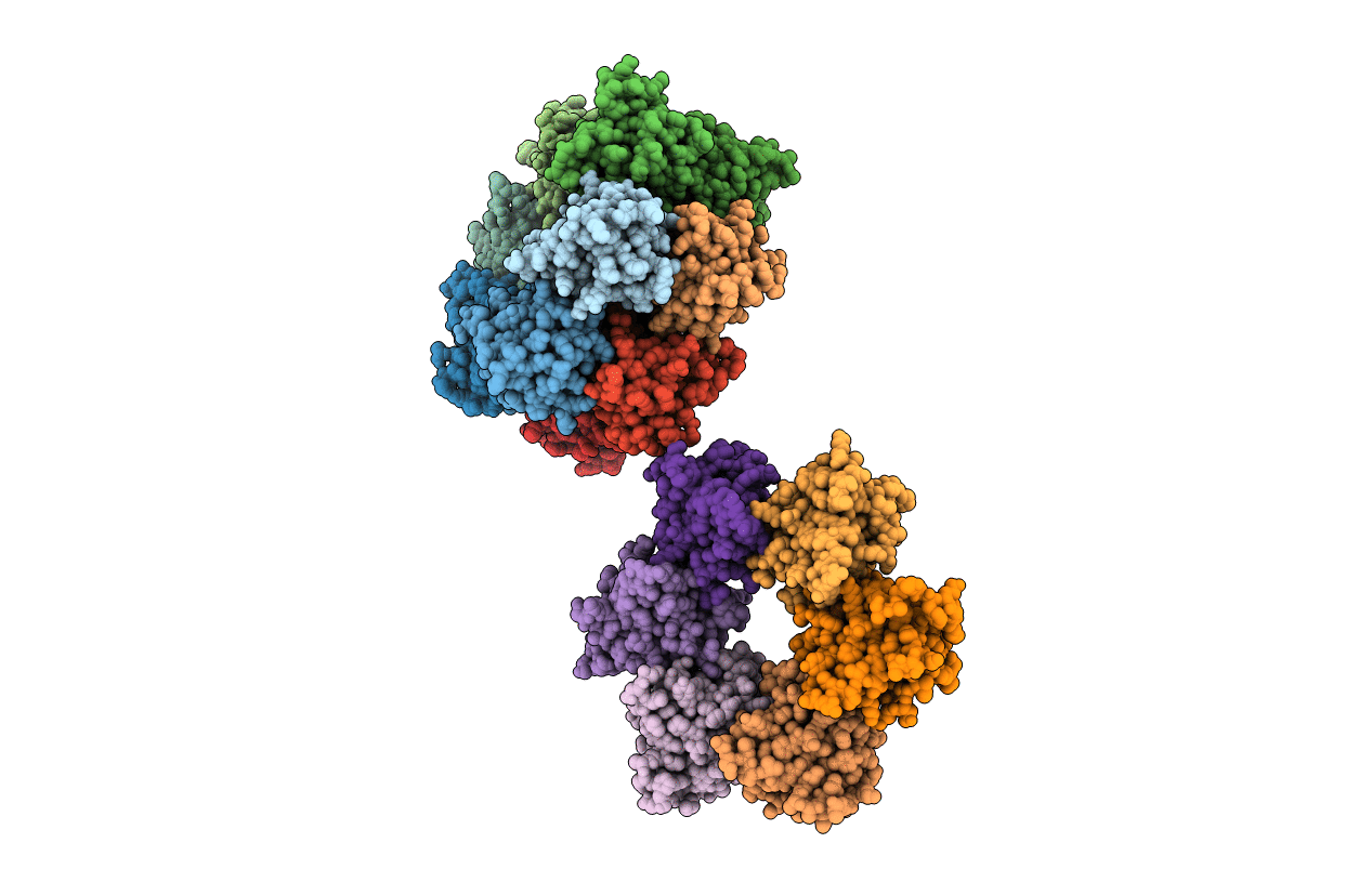 3RCC image