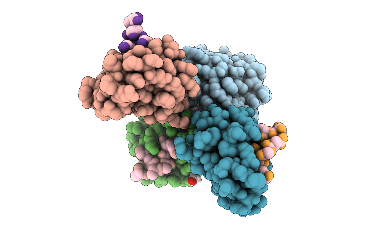 3RDV image