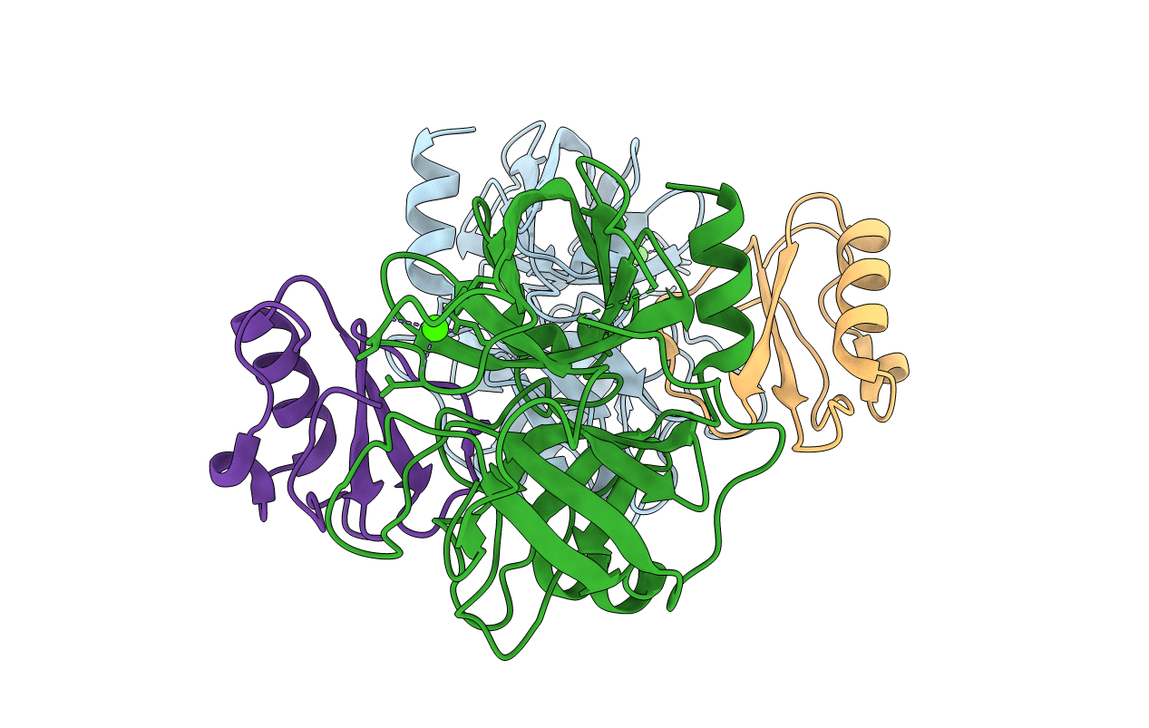 3RDZ image