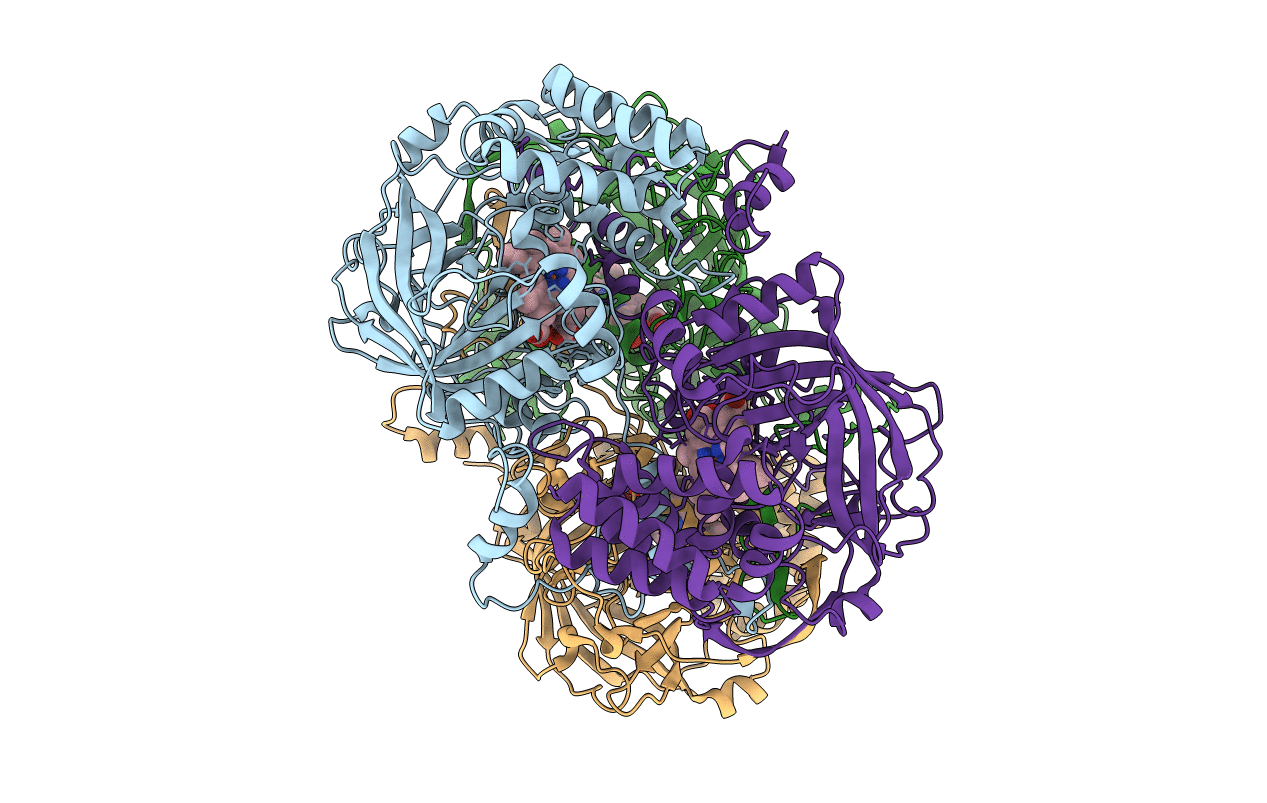 3RE8 image