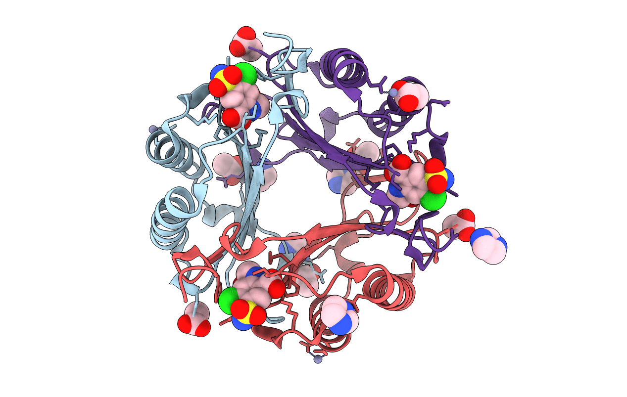 3RF4 image
