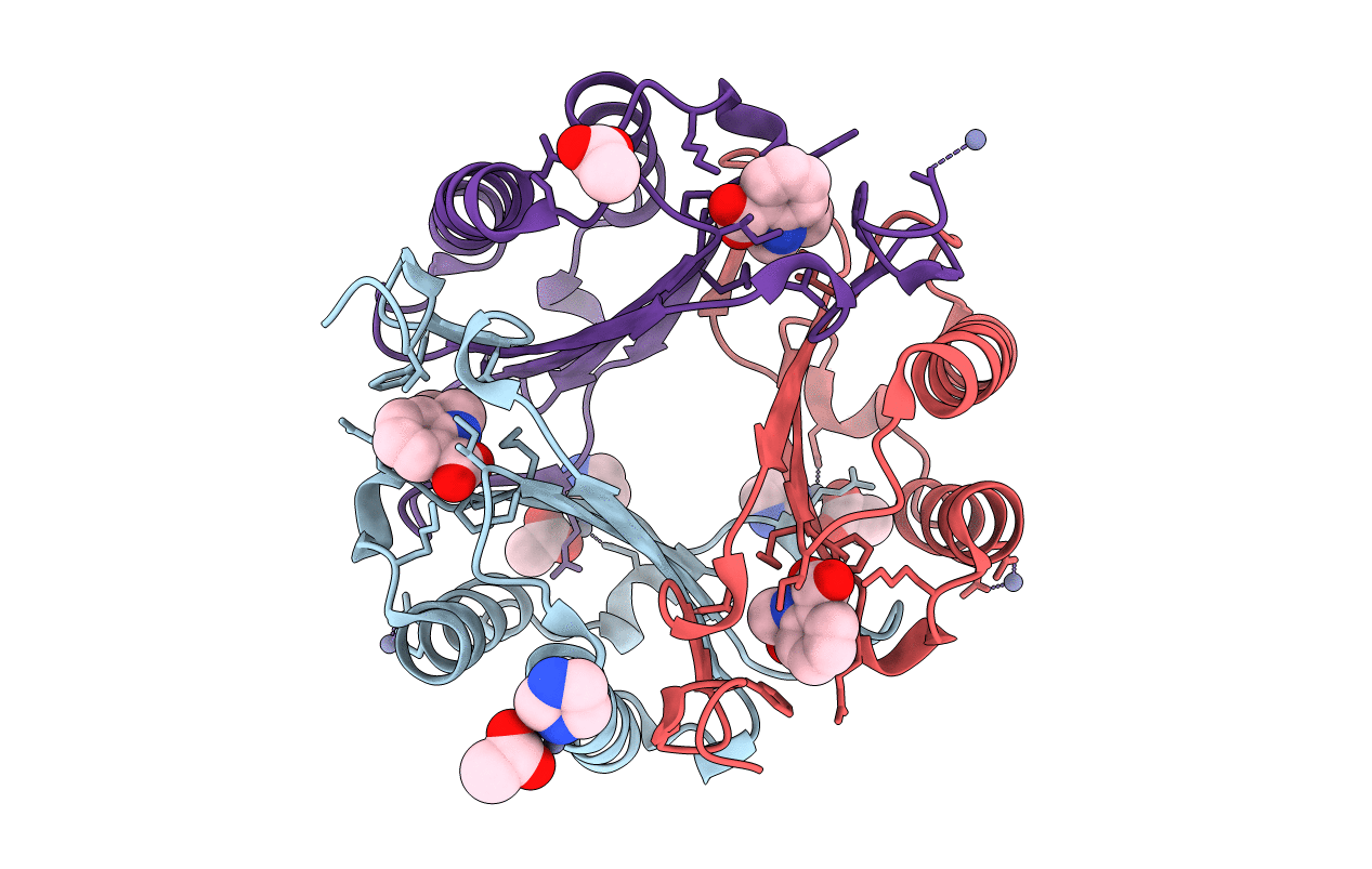 3RF5 image
