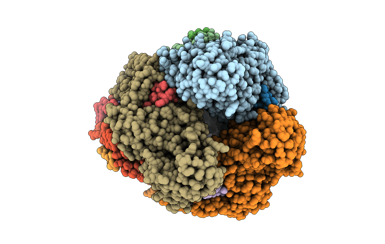 3RFR image