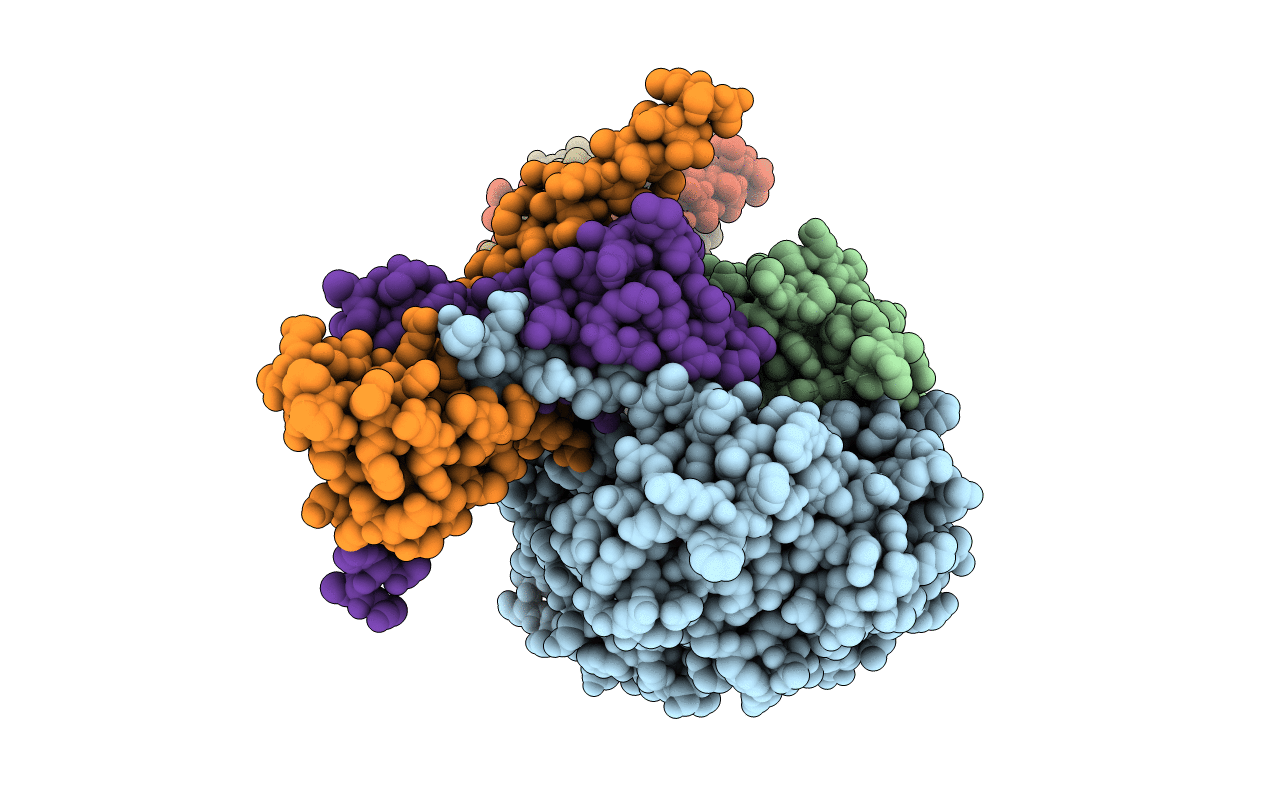 3RG6 image