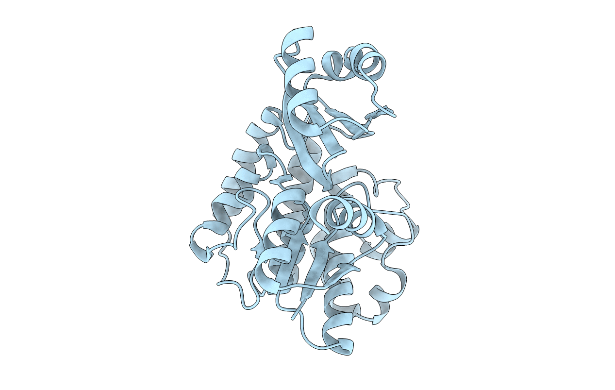 3RGI image
