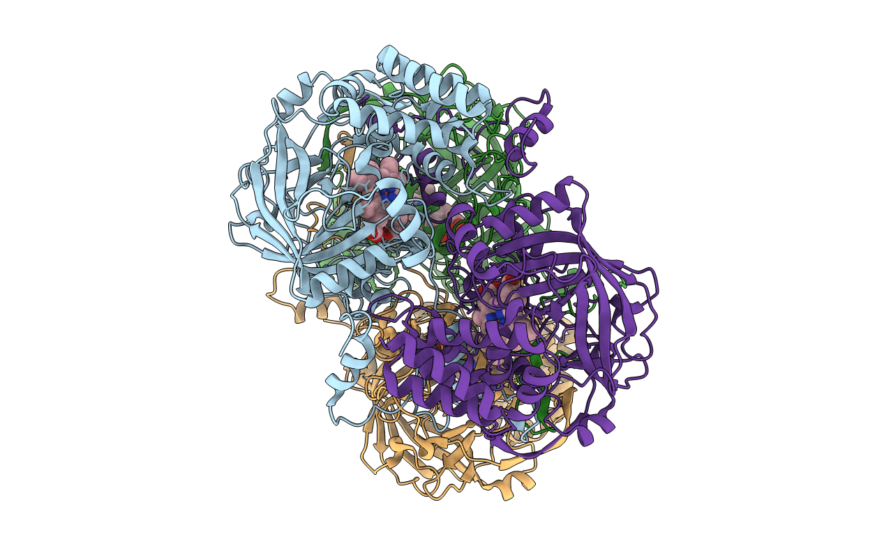 3RGS image