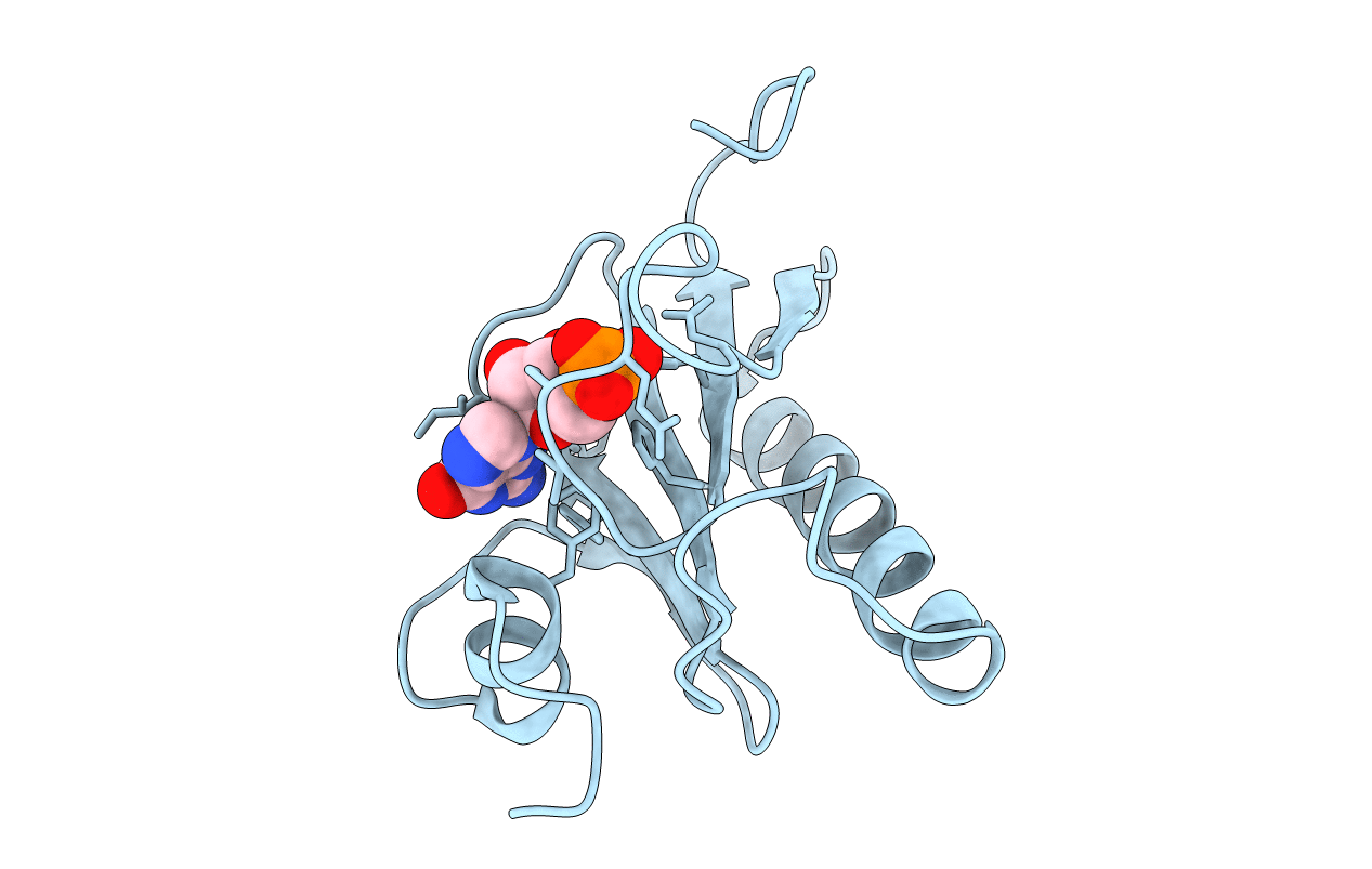 3RHN image