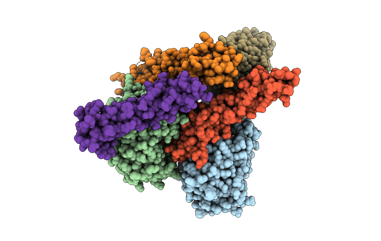 3RJ3 image