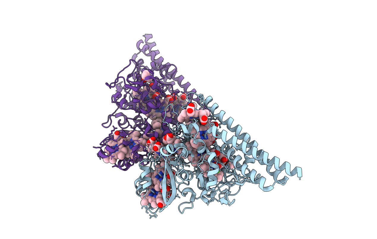 3RKH image